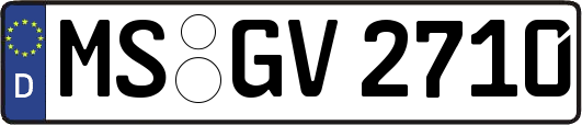 MS-GV2710