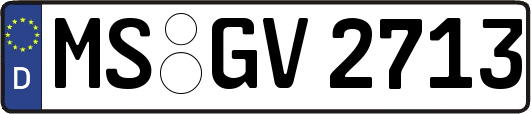 MS-GV2713