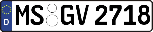 MS-GV2718