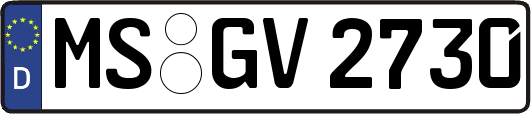 MS-GV2730