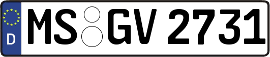 MS-GV2731