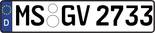 MS-GV2733