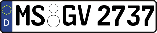 MS-GV2737