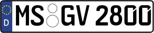 MS-GV2800