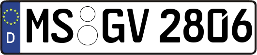 MS-GV2806