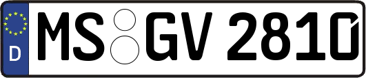 MS-GV2810