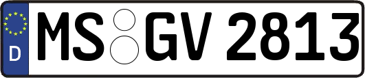 MS-GV2813