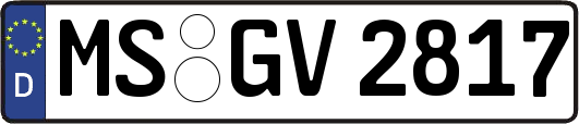 MS-GV2817