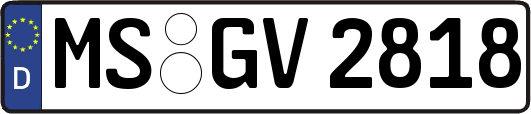 MS-GV2818