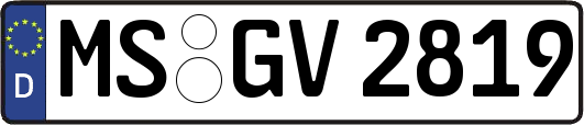 MS-GV2819