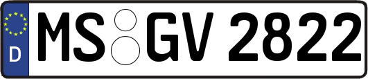 MS-GV2822