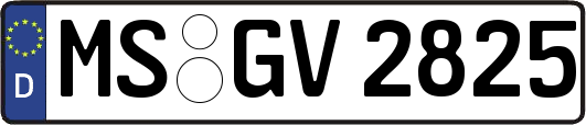 MS-GV2825