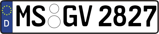 MS-GV2827