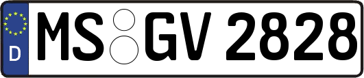 MS-GV2828