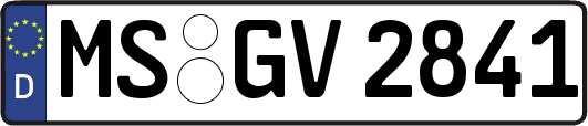 MS-GV2841