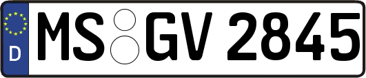MS-GV2845