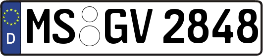 MS-GV2848