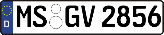 MS-GV2856