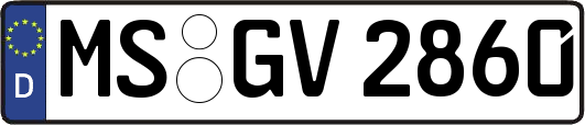 MS-GV2860