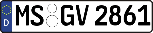 MS-GV2861