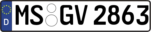 MS-GV2863