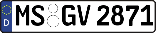 MS-GV2871