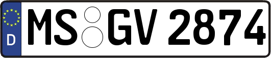 MS-GV2874