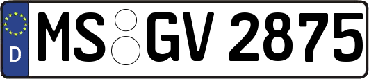 MS-GV2875