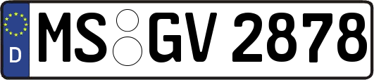 MS-GV2878