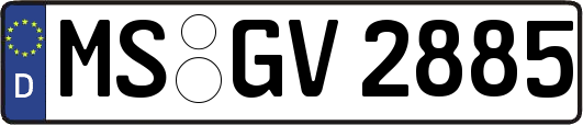 MS-GV2885