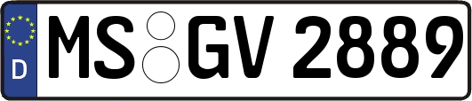 MS-GV2889