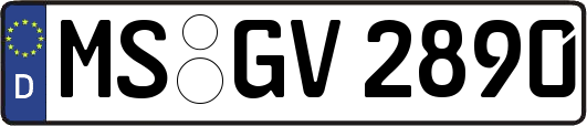 MS-GV2890