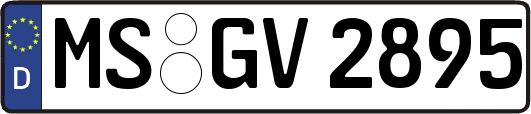 MS-GV2895
