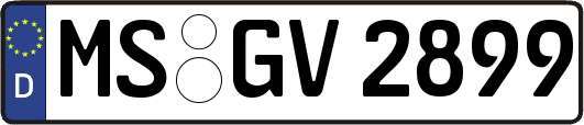 MS-GV2899