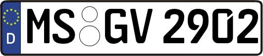MS-GV2902