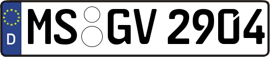 MS-GV2904