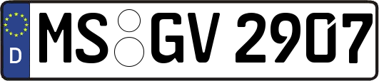 MS-GV2907