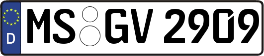 MS-GV2909
