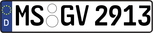 MS-GV2913