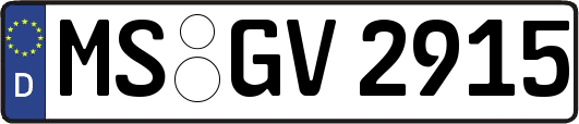 MS-GV2915