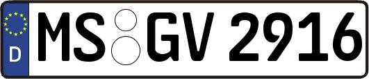 MS-GV2916