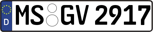 MS-GV2917