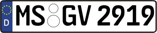 MS-GV2919