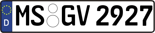 MS-GV2927