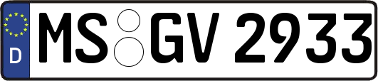 MS-GV2933