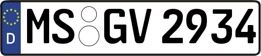 MS-GV2934