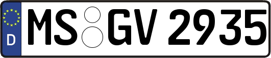 MS-GV2935