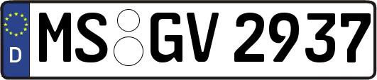MS-GV2937