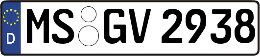 MS-GV2938