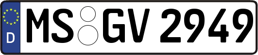 MS-GV2949